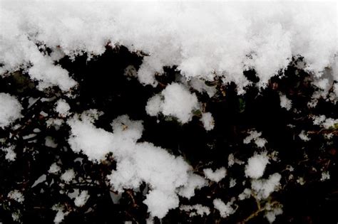 【秋雪压枝头摄影图片】甘肃省酒泉风光摄影_._太平洋电脑网摄影部落