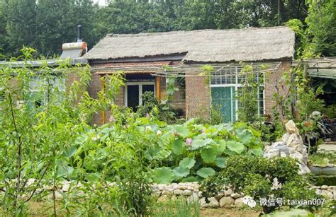 南京郊区的农家小院,有亭、有花、有石、有水.-绿宝园林网