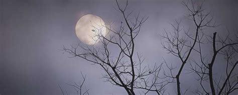 中秋夜赏月模式开启！十五的月亮扮靓夜空-上游新闻 汇聚向上的力量
