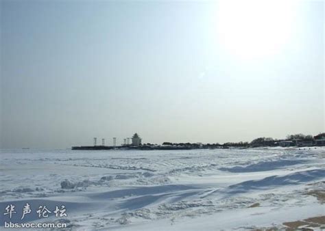 辽宁大连：夏家河海滩出现浮冰 宛若极地风光-荔枝网图片