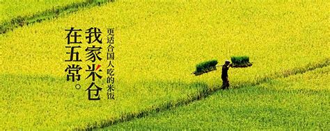 五常市永顺丰水稻种植农民专业合作社