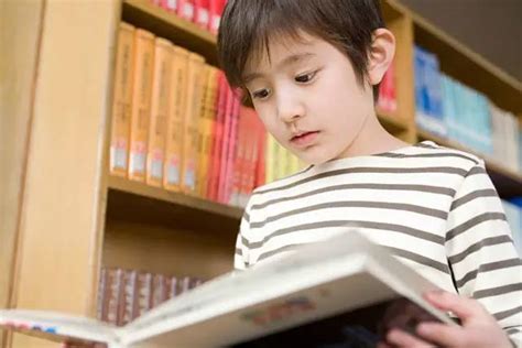 孩子没上学前需要读书吗 如何让孩子看适合他看的书 _八宝网