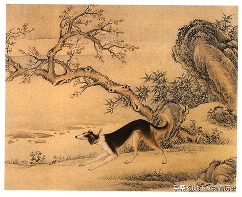 艾启蒙图片