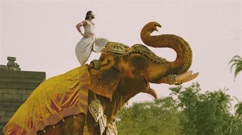 印度电影《白虎》登陆Netflix 高分神片，被称印度版《寄生虫》_国际&好莱坞_电影界