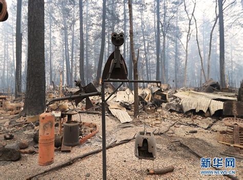 加州山火致993人失踪 搜救人员在废墟中搜救(图)_手机新浪网