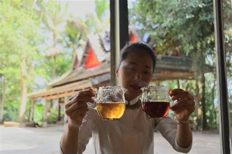 做绿色发展引领者 看云南“10大名茶”头名茶企的匠心制造_提供芳村大益普洱茶最新价格走势！