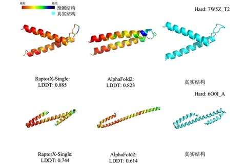 基于AlphaFold2进行蛋白质结构预测的文章解析 - 知乎