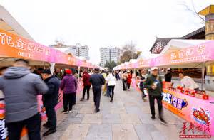 Dinga 的图像结果
