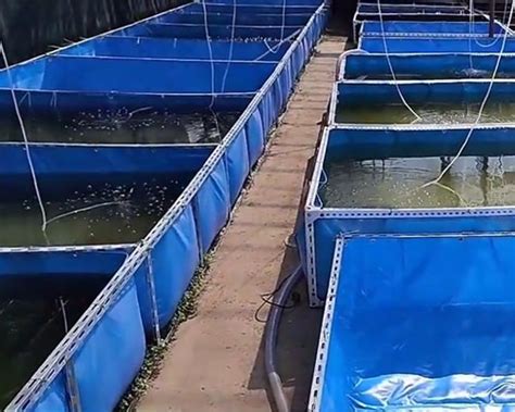 户外生态养水池-镀锌板帆布鱼池厂家-环保在线