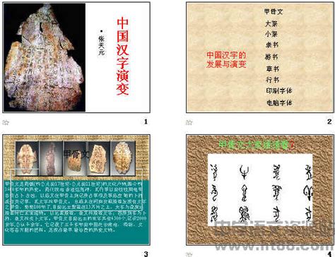比甲骨文更早的文字, 距今已有九千年, 中华历史即将改写|甲骨文|文字|考古_新浪新闻