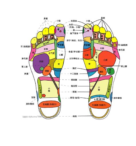 脚底涌泉穴位图图片
