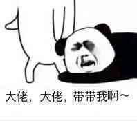 大佬的表情包图片