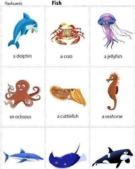 三种海洋动物英语 ,所有海洋动物的英文单词 - 英语复习网