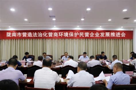 国网陇南供电公司自主实施完成330千伏线路检修任务_手机新浪网