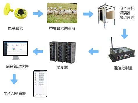 RFID羊群自动盘点方案_动物智能识别与食品溯源_行业方案_健永科技