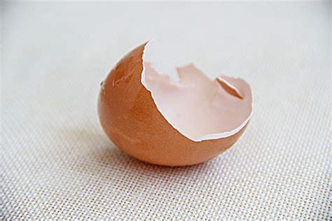 鸡蛋，从外打破是食物，从内打破是生命