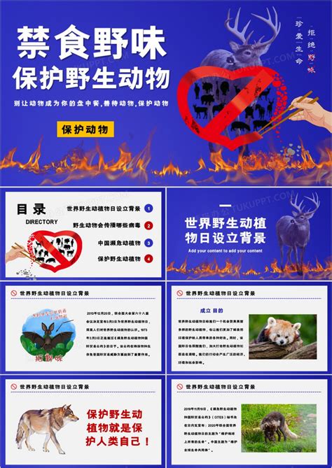 禁食野生动物保护野生动物宣传PPT模板下载_熊猫办公
