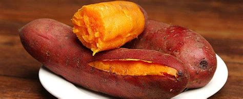 红薯的营养价值_健康大百科