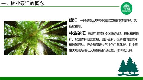 省林科院林业碳汇研究团队开展林业碳中和试点项目调研-江西省林业科学院