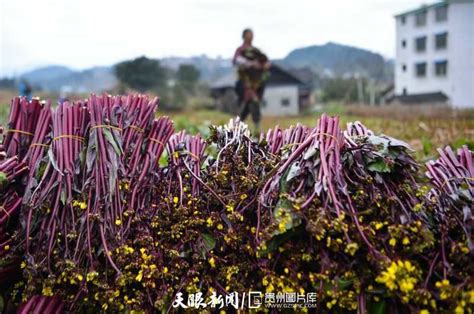 贵州松桃：农旅一体助力乡村振兴-人民图片网