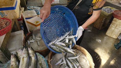 平潭台湾农渔产品交易市场揭牌 台湾产品由高雄直达平潭 - 共同家园 - 东南网