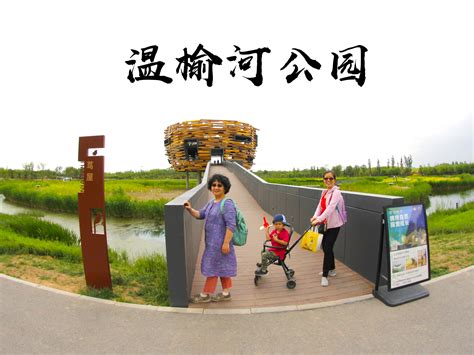 北京龙湖G-PARK科技公园 / IF本色营造_公共空间_景观案例_园景人