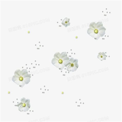 梦幻情侣朴寒星顶级小白花cr:Airpr图片