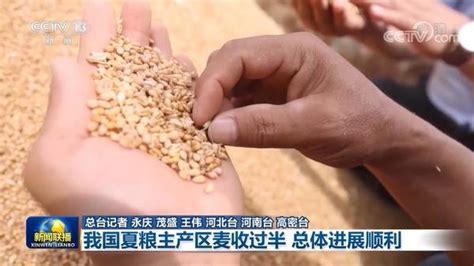 【在希望的田野上·三夏时节】我国夏粮主产区麦收过半 总体进展顺利-大河网