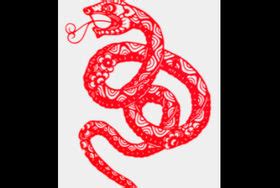 属蛇的和什么属相最配 避免产生相克 - 中国婚博会官网