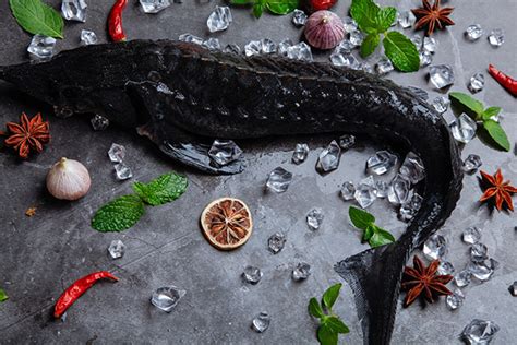 黑鱼的功效与作用禁忌 黑鱼的营养价值及食用禁忌_彩牛养生