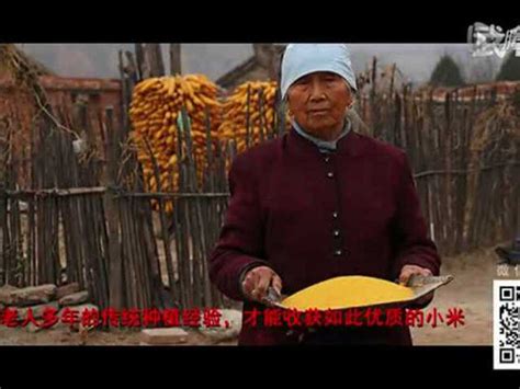 小米种植全过程.mpg_腾讯视频