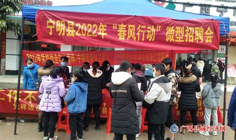 宁明县人社部门“三项举措”强化精准服务提升就业保障 - 广西县域经济网