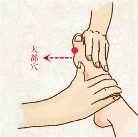 大都的准确位置图图片 大都的准确位置图图片