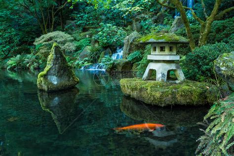 灯笼和波特兰日本花园的瀑布高清图片下载-正版图片502408528-摄图网