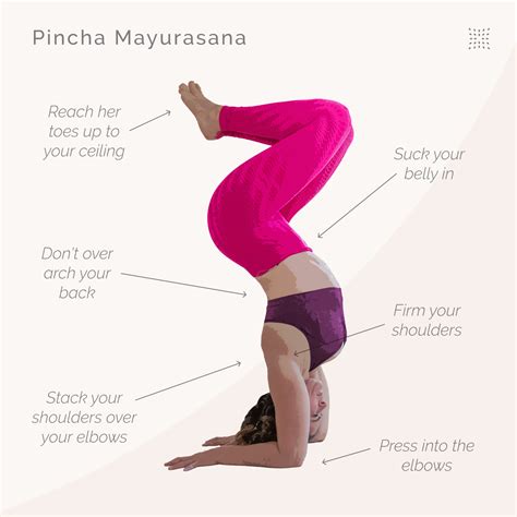 How to do Pincha Mayurasana (Feathered Peacock Pose) – OmStars