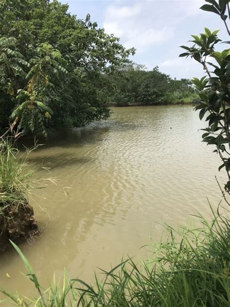 陈家湾钓场_陈家湾钓场地址_陈家湾钓场电话 - 钓鱼之家