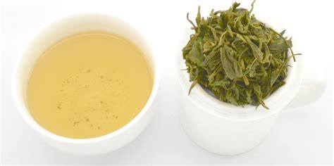 Yunwu tea in Hangzhou enters harvest season- China.org.cn
