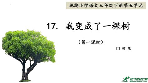 三年级语文预习 | 第17课《我变成了一棵树》讲解+知识点归-小学教育-杭州19楼