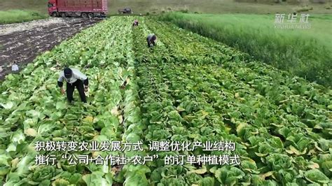 新疆昭苏：加快推进“菜篮子”工程建设 打造蔬菜种植示范基地_凤凰网视频_凤凰网