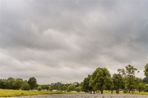 《阴天时，艾普特河畔的杨树》作品赏析_世界名画图片/作品 - 艺点创意商城