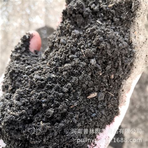 草炭土的正确使用方法（养花用的泥炭土，又叫草炭土，用来养花效果好） - 生活 - 布条百科