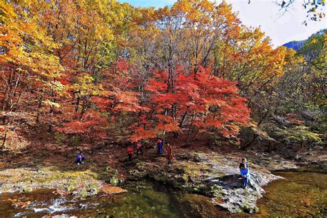 本溪关门山-本溪旅游攻略-游记-去哪儿攻略