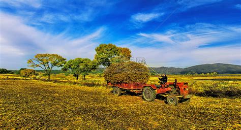 农场图片-农场的风景素材-高清图片-摄影照片-寻图免费打包下载
