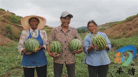 平塘公安：优化旅游警务织密安全防线 - 贵州法治报