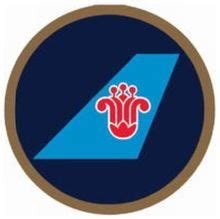 中国南方航空logo图标_中国南方航空logoicon_中国南方航空logo矢量图标_88ICON