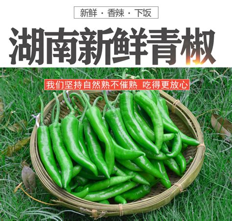 新鲜薄软皮青椒湖南农家自种时令蔬湘菜尖椒虎皮长青辣椒泡椒原料-阿里巴巴