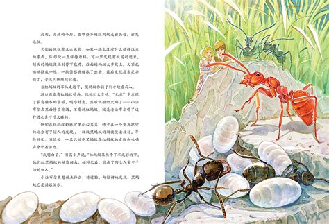 写给中国儿童的昆虫记——蚂蚁|插画|绘本|米笑_MICHELLE - 原创作品 - 站酷 (ZCOOL)