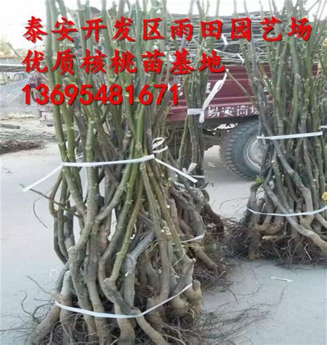 楚雄州220KV电缆回收多少钱-全球机械网