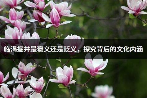 成语故事《临渴掘井》的分享Word模板下载_编号qeowyedm_熊猫办公