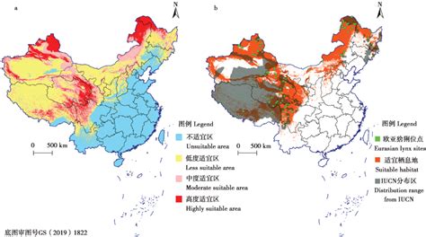 北京大学李晟研究员与合作者团队揭示欧亚猞猁在中国的分布现状与适宜栖息地预测 -保护地平台